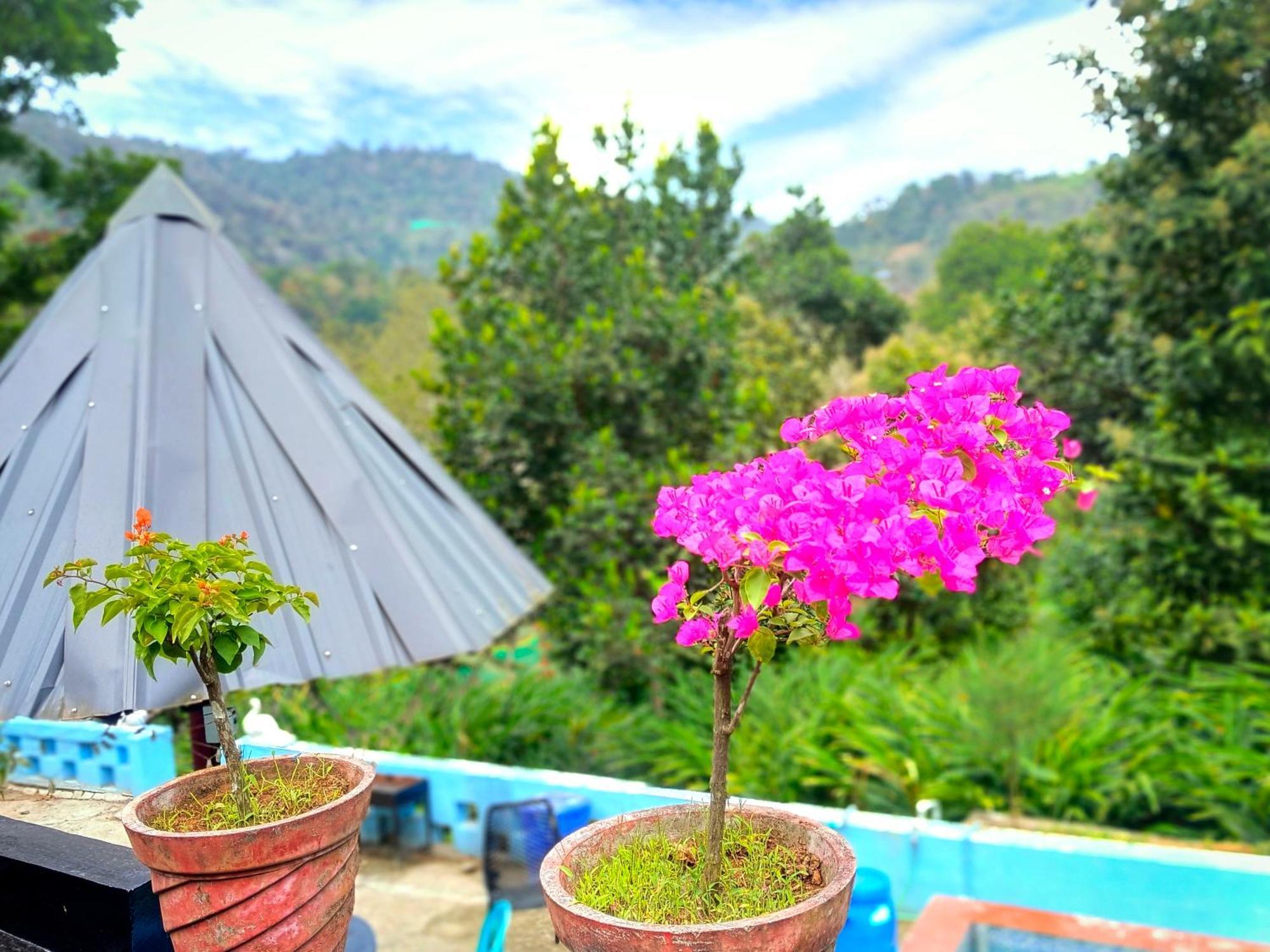 Mistey Valley Munnar Villa Anachal Eksteriør bilde